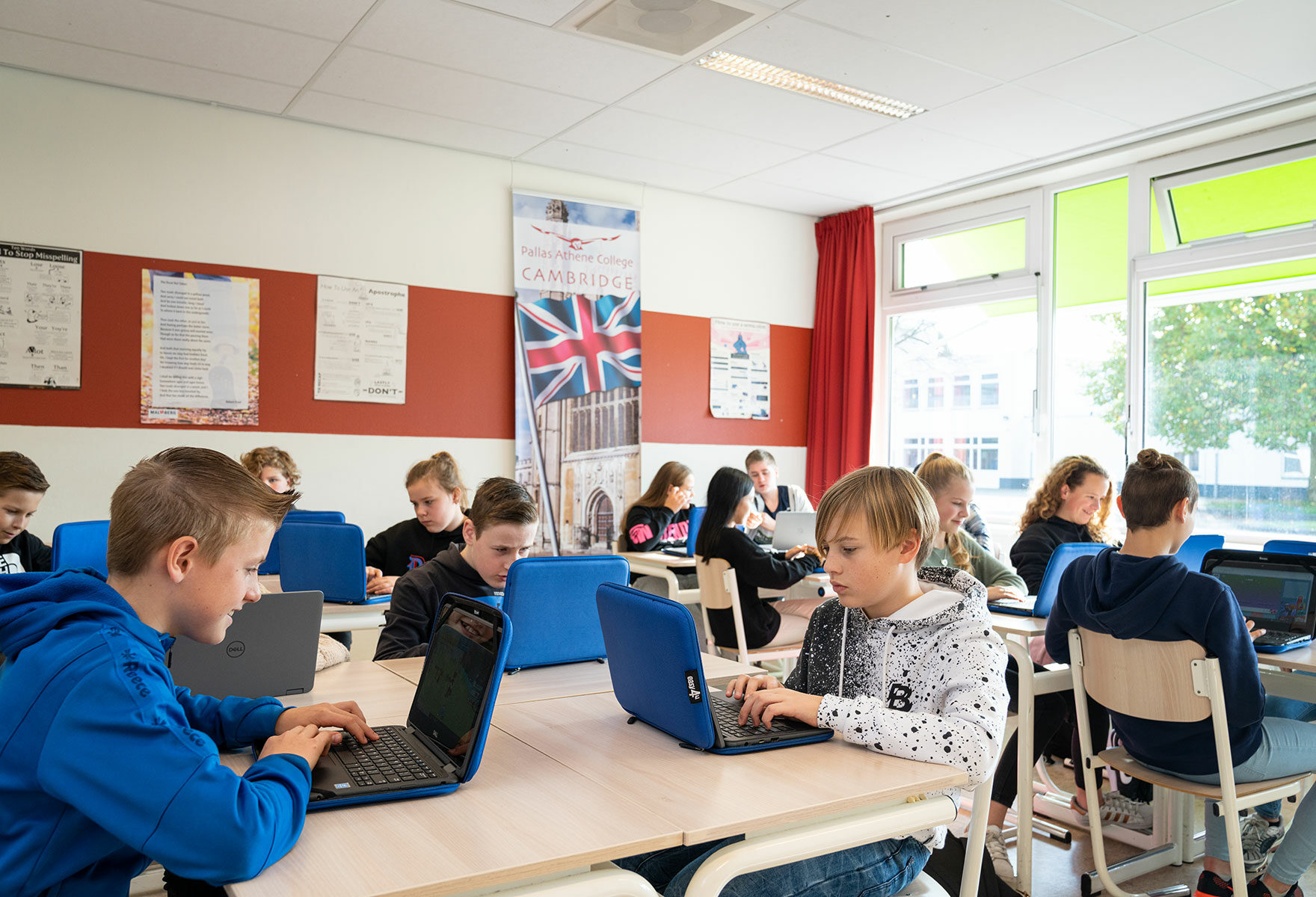 Organisatiestructuur